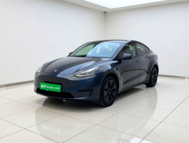 Tesla Model Y 2024 Tesla Model Y 2024 car image