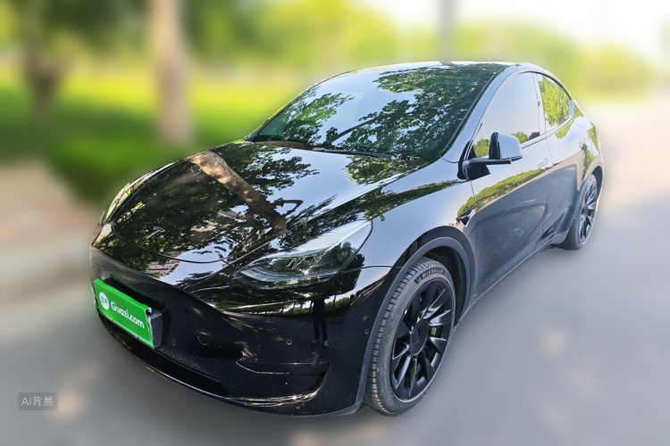 Tesla Model Y 2023 #2 Tesla Model Y 2023 car image #2