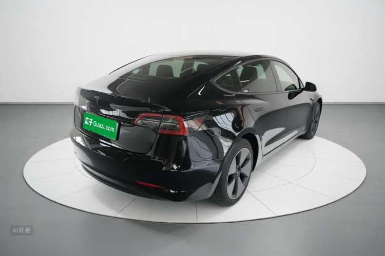 Tesla Model 3 2021 car image #7