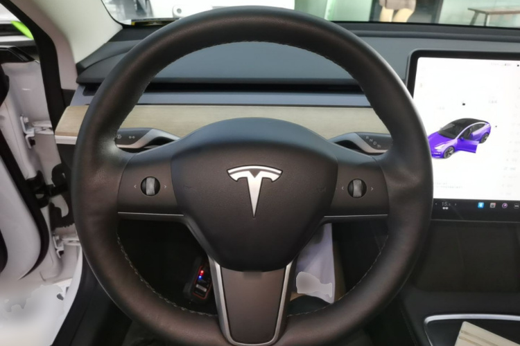 Tesla Model 3 2021 car image #11