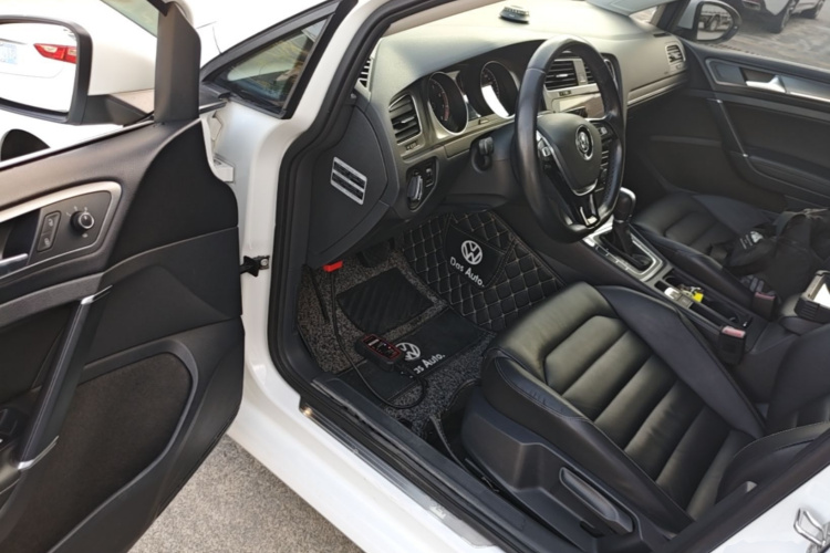 Volkswagen Golf 2016 car image #16