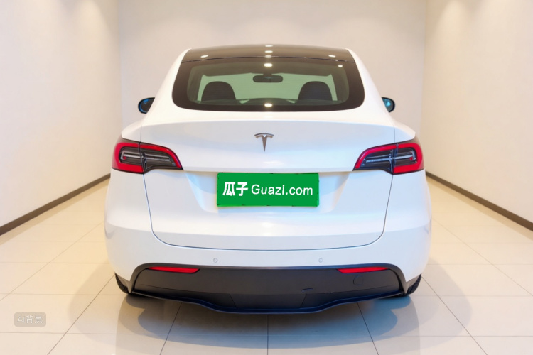 Tesla Model Y 2022 car image #6