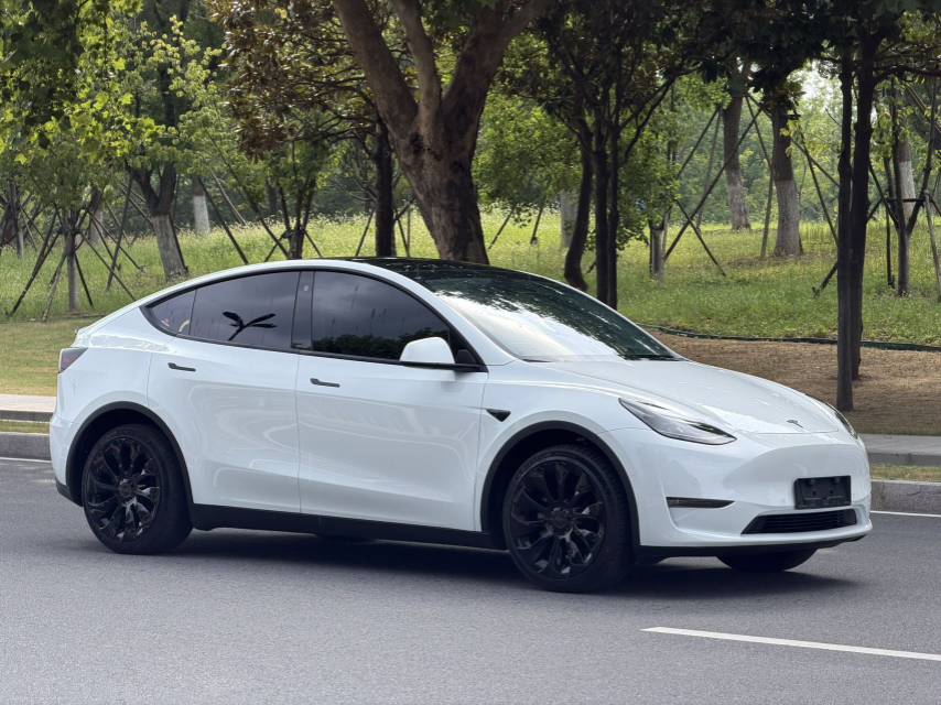 Tesla Model Y 2024 car image #3