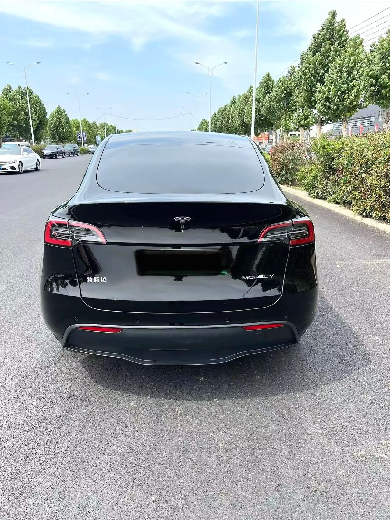 Tesla Model Y 2022 car image #6