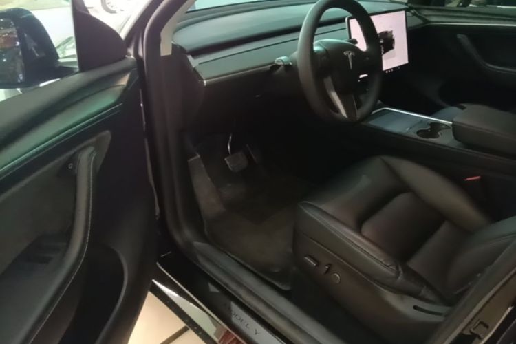 Tesla Model Y 2023 car image #12