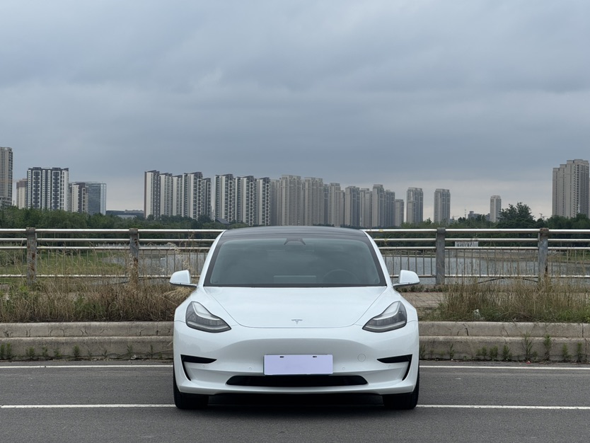 Tesla Model 3 2020 car image #2