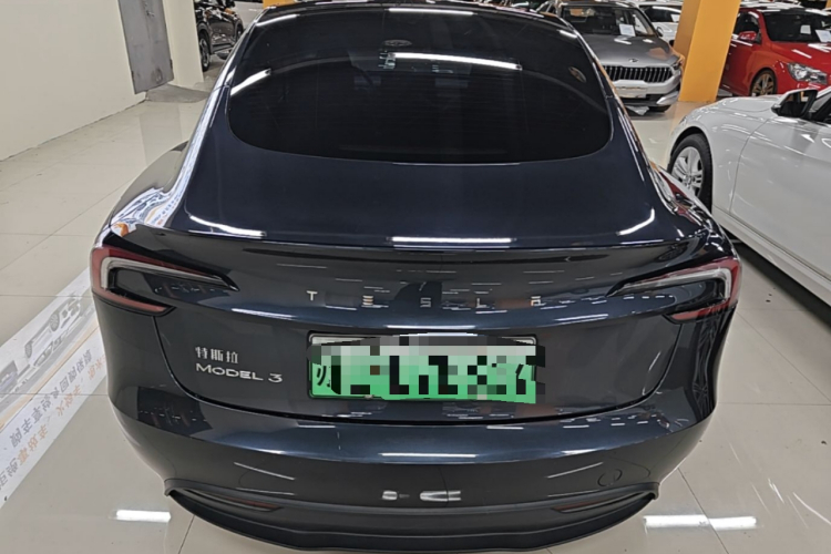 Tesla Model 3 2024 immagine di auto #6