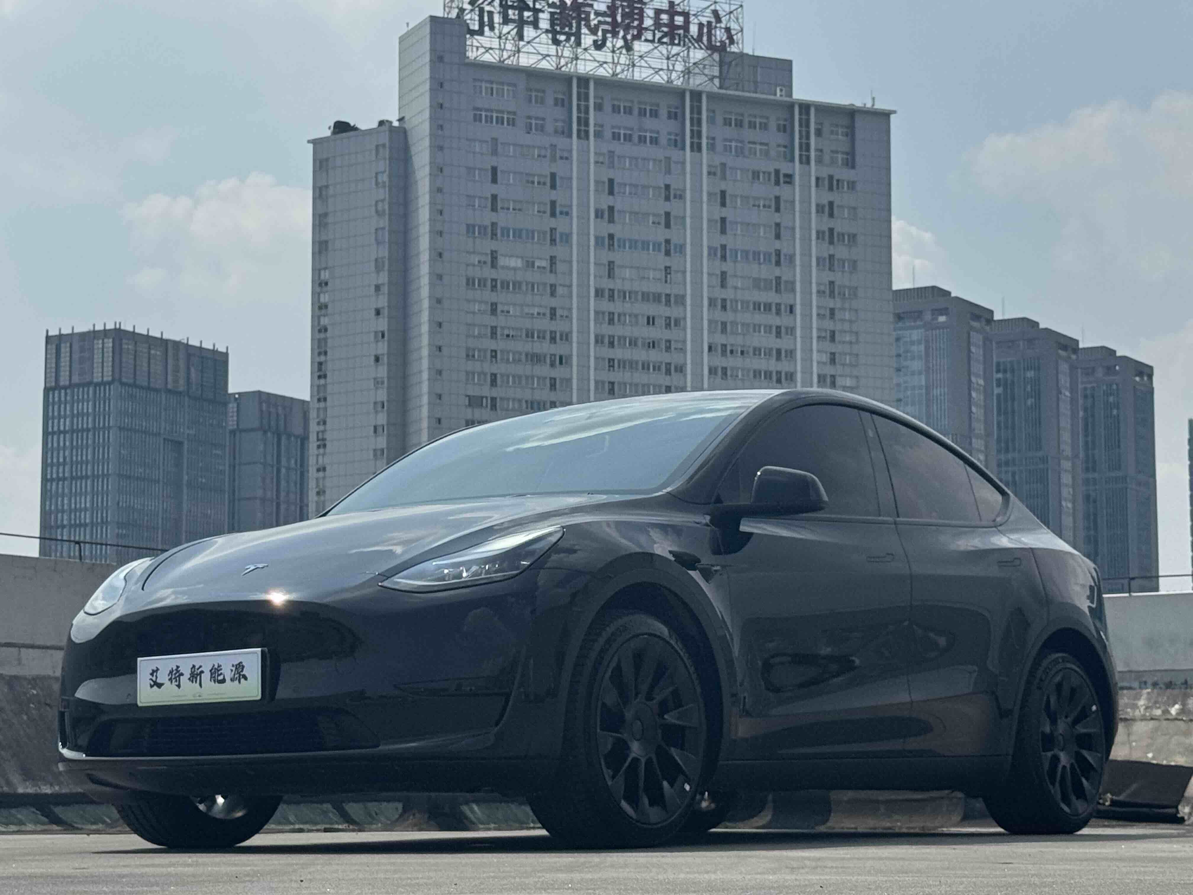 Tesla Model Y 2023 Tesla Model Y 2023 car image