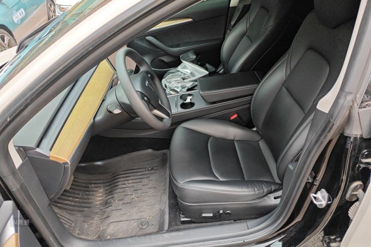Tesla Model 3 2021 car image #17