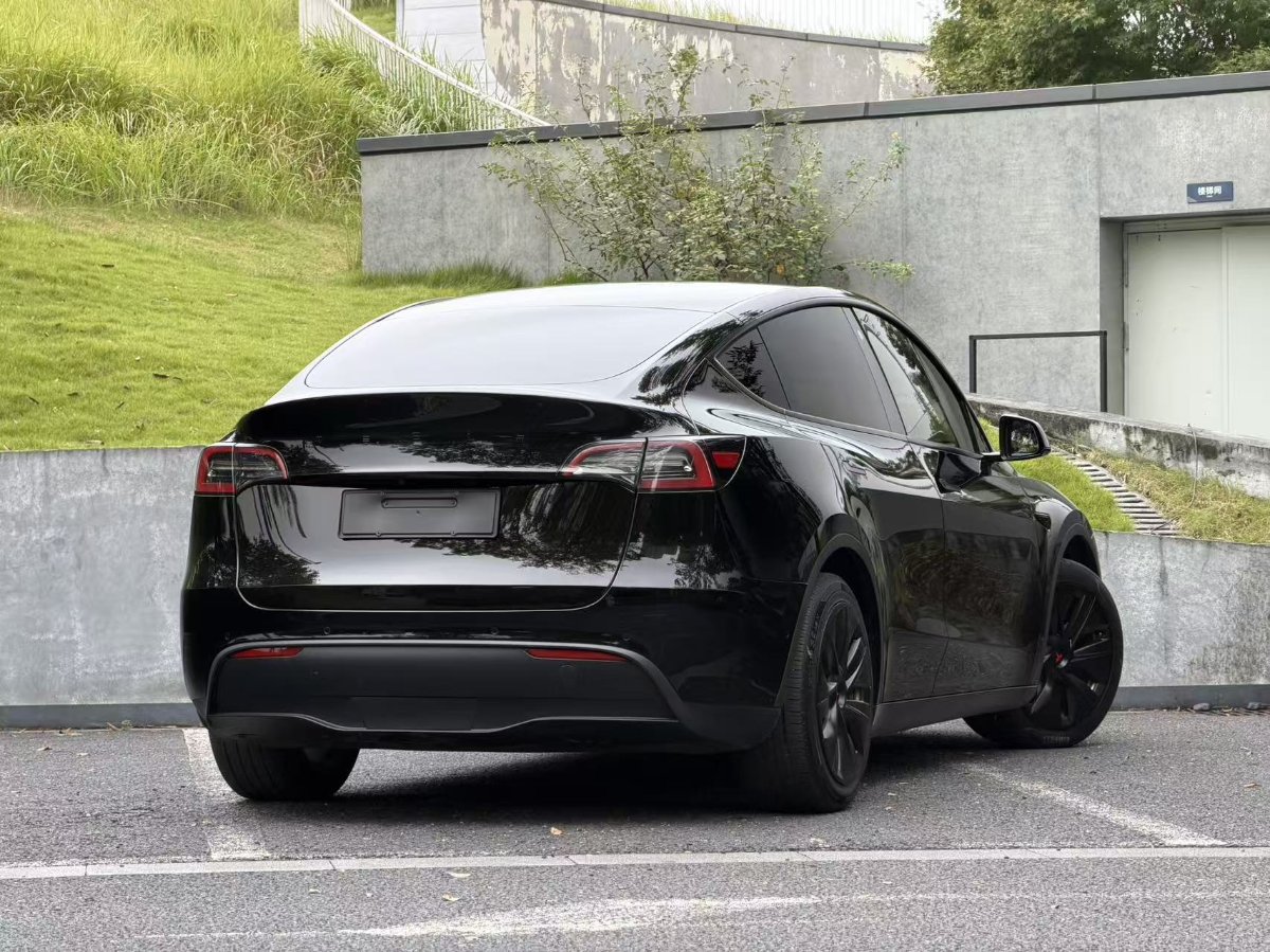 Tesla Model Y 2022 car image #4