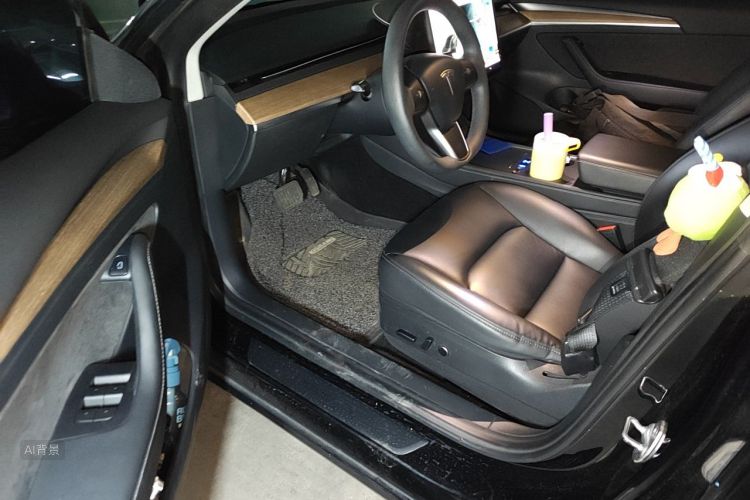 Tesla Model 3 2021 #18 Tesla Model 3 2021 car image #18
