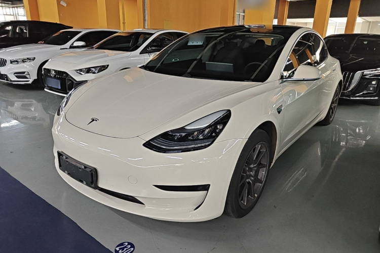 Tesla Model 3 2020 #2 Tesla Model 3 2020 car image #2