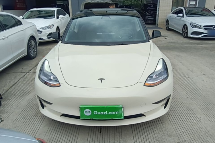 Tesla Model 3 2021 immagine di auto #3