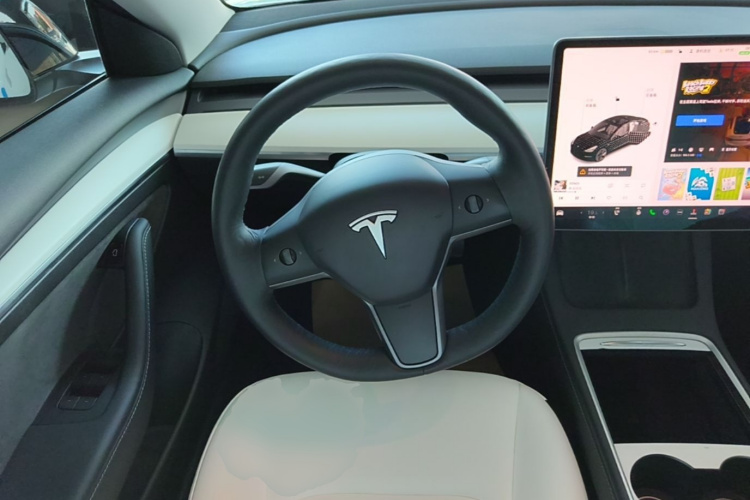 Tesla Model 3 2021 #15 Tesla Model 3 2021 car image #15