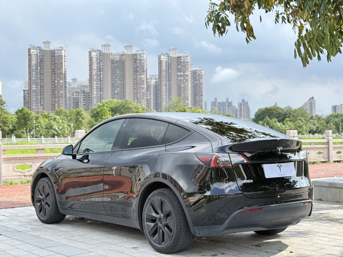 Tesla Model Y 2024 #7 Tesla Model Y 2024 car image #7
