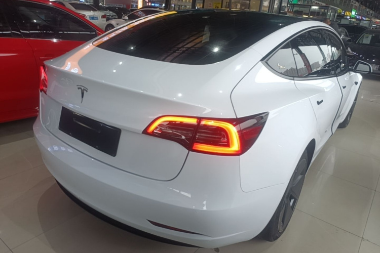 Tesla Model 3 2021 #7 Tesla Model 3 2021 car image #7