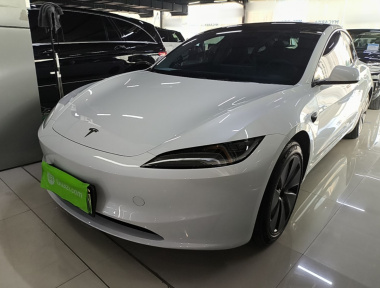 Tesla Model 3 2024 Tesla Model 3 2024 car image