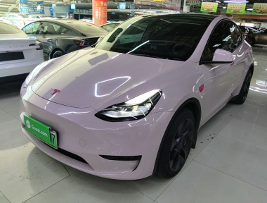 Tesla Model Y 2022 car image 