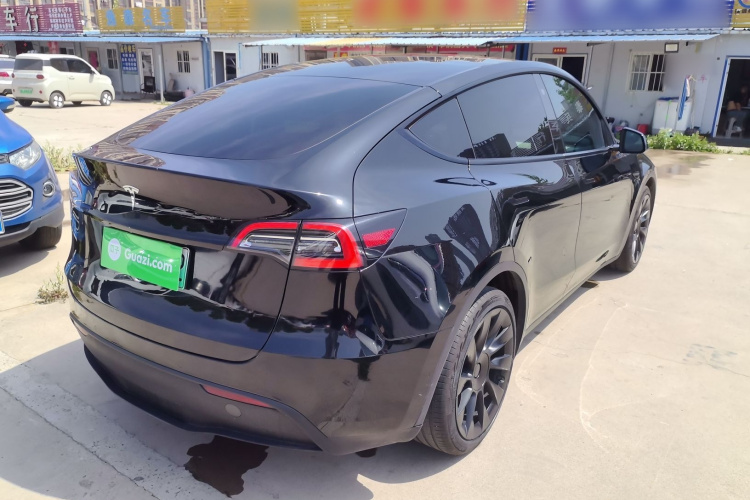 Tesla Model Y 2021 car image #7