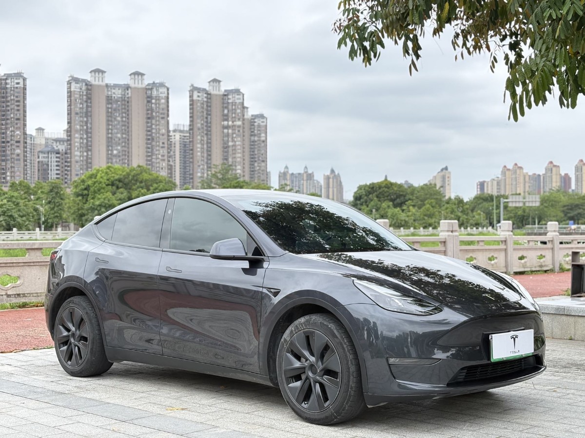 Tesla Model Y 2024 car image #3