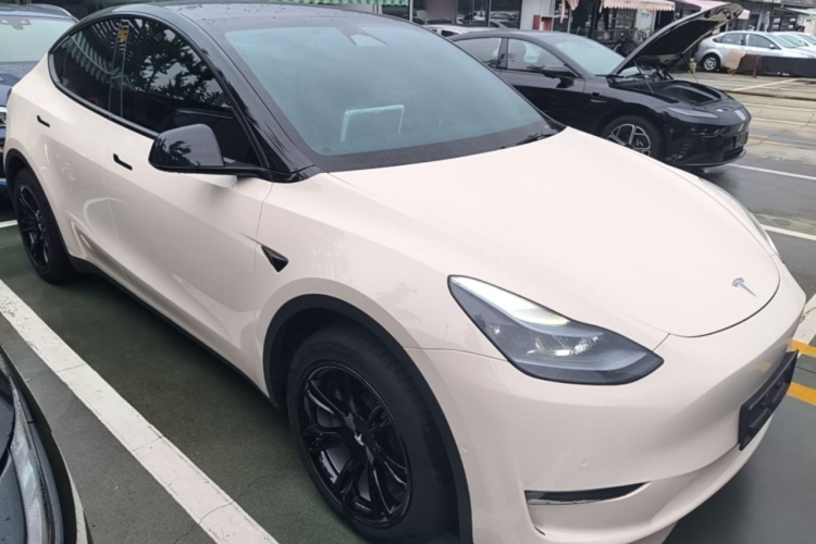 Tesla Model Y 2023 car image #6