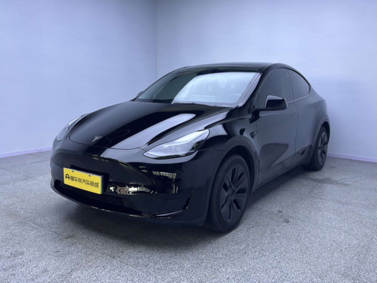 Tesla Model Y 2023 Tesla Model Y 2023 car image