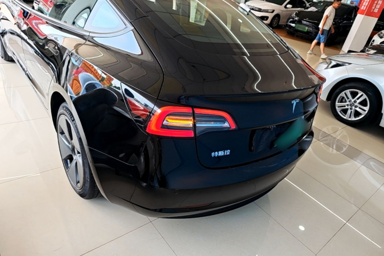 Tesla Model 3 2023 car image #6