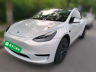Tesla Model Y 2024 immagine di auto 