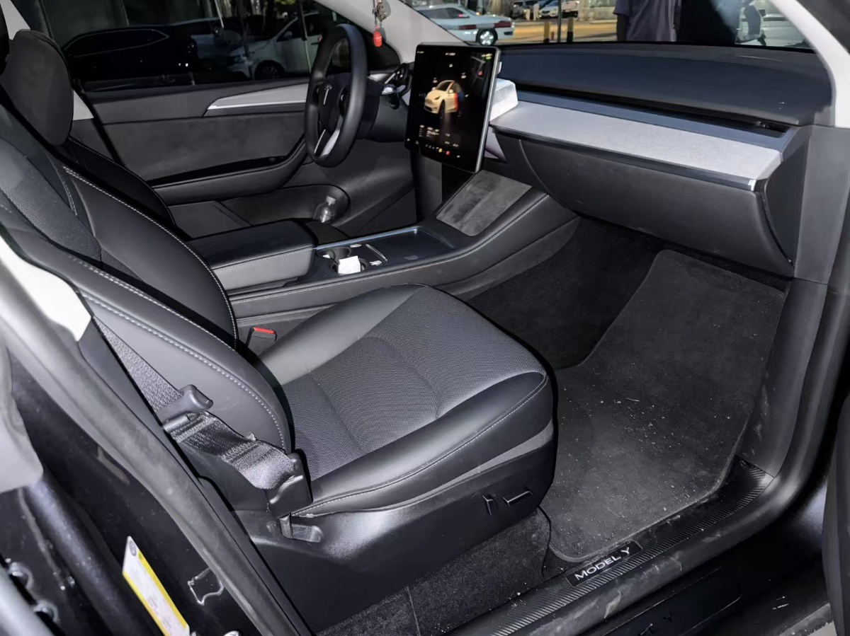 Tesla Model Y 2024 car image #8