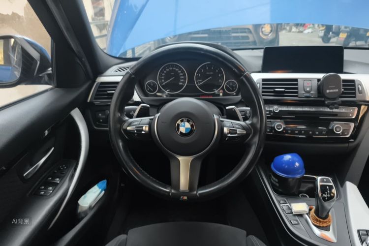 BMW 3 Series 2017 car image #12