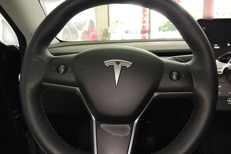 Tesla Model 3 2023 #15 Tesla Model 3 2023 car image #15