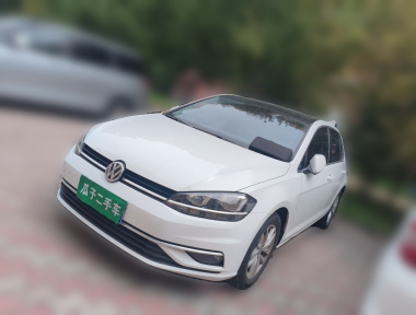 Volkswagen Golf 2019 Volkswagen Golf 2019 car image