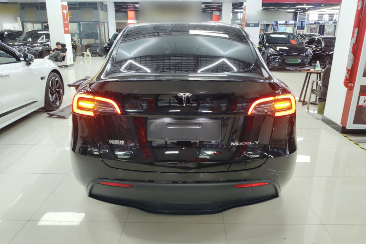 Tesla Model Y 2024 car image #6