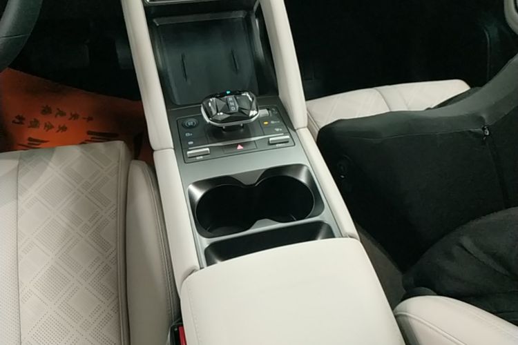 BYD YuanUP 2024 immagine di auto #18