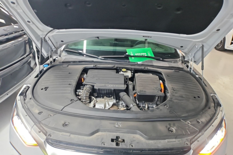 BYD Han 2024 car image #22
