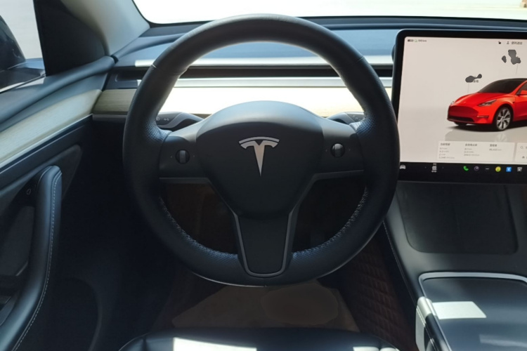 Tesla Model Y 2022 car image #15