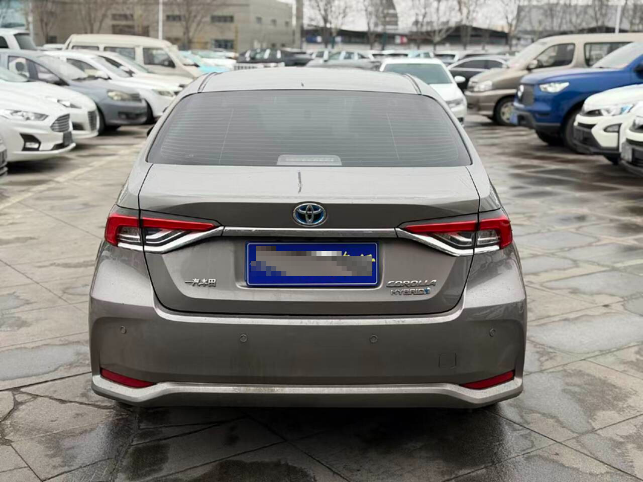 Toyota Corolla 2021 #10 Toyota Corolla 2021 car image #10
