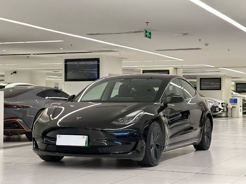 Tesla Model 3 2021 #2 Tesla Model 3 2021 car image #2