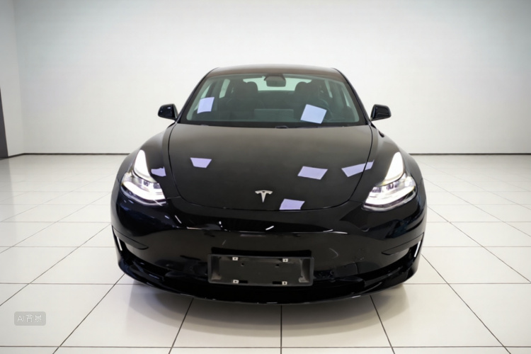 Tesla Model 3 2021 #3 Tesla Model 3 2021 car image #3