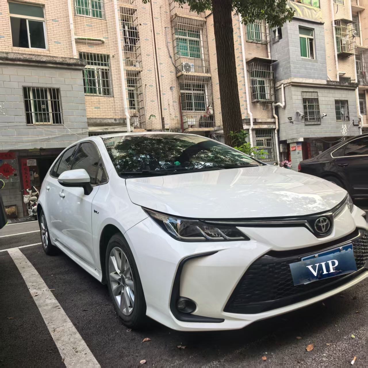 2025 car image 