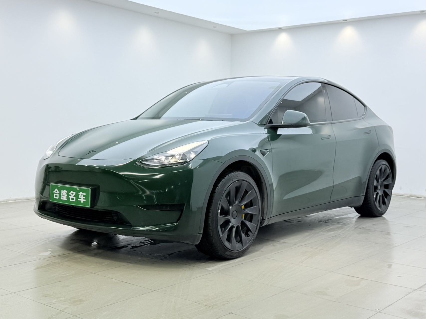 Tesla Model Y 2023 Tesla Model Y 2023 car image