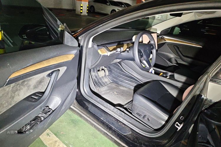 Tesla Model 3 2022 car image #18