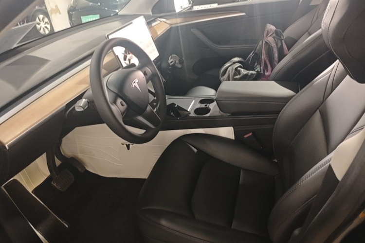 Tesla Model Y 2021 car image #15
