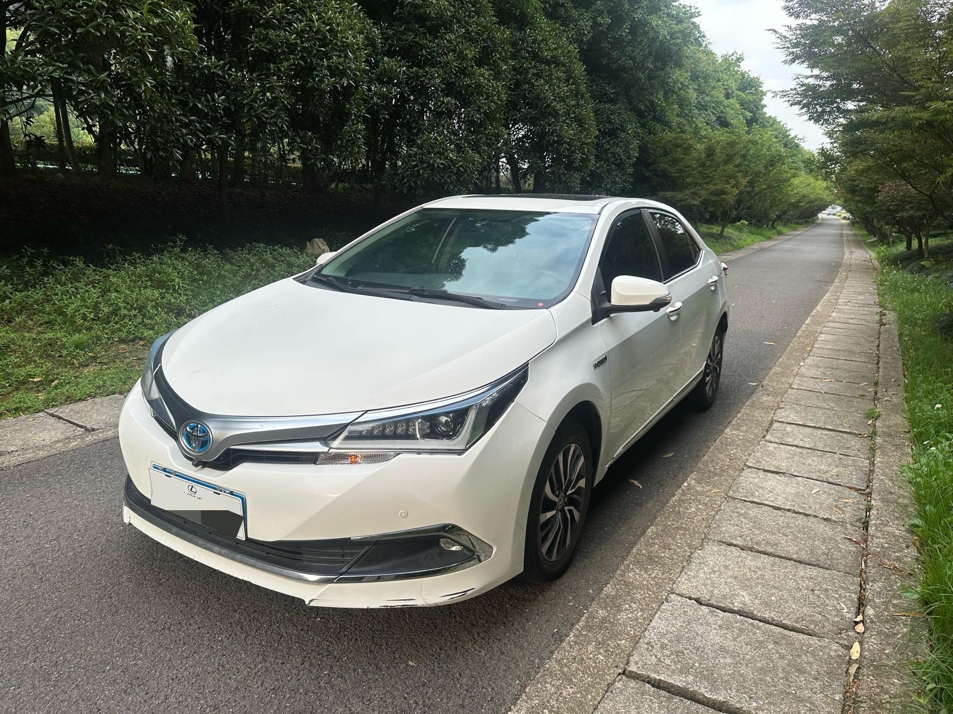 Toyota Corolla 2016 Toyota Corolla 2016 car image