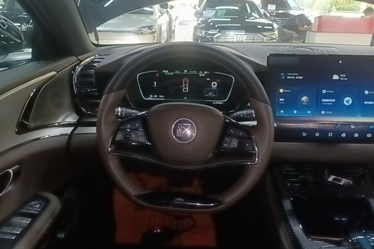 BYD Han 2022 immagine di auto #11