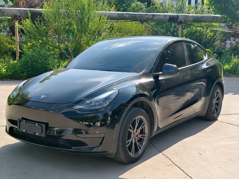 Tesla Model Y 2023 car image 