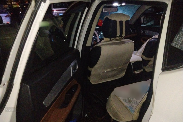 GEELY Vision X6 2019 #19 GEELY Vision X6 2019 immagine di auto #19