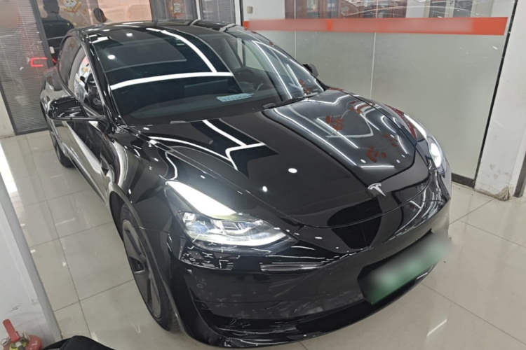 Tesla Model 3 2021 #6 Tesla Model 3 2021 car image #6