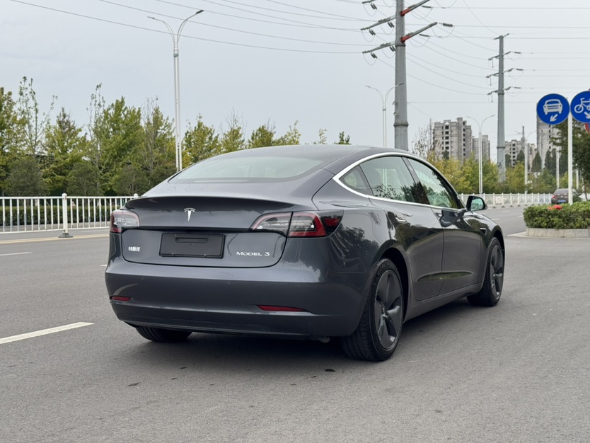 Tesla Model 3 2020 car image #5