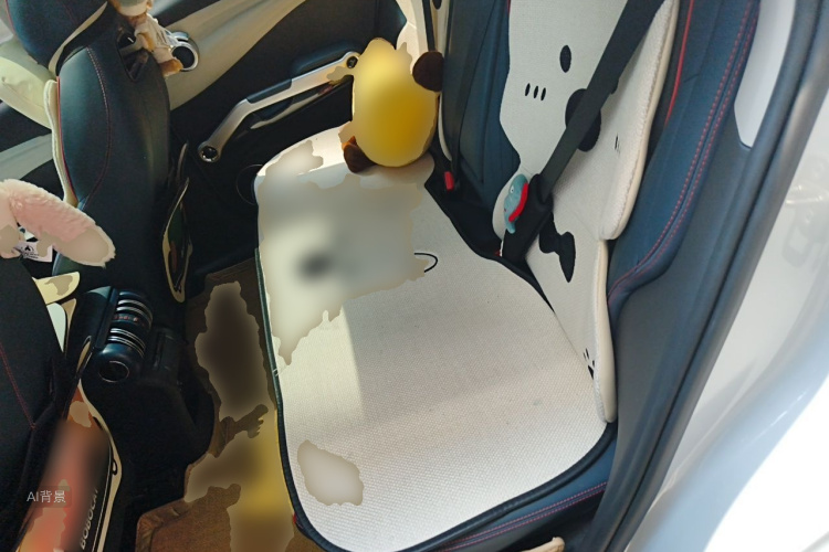 BYD Yuan Plus 2023 car image #19